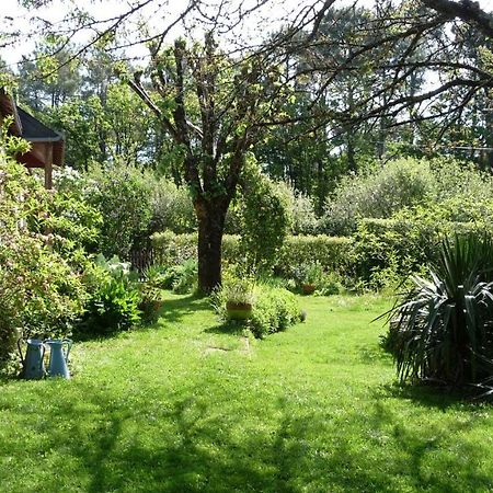 Le Jardin Aux Oiseaux Bed and Breakfast Férel Eksteriør billede