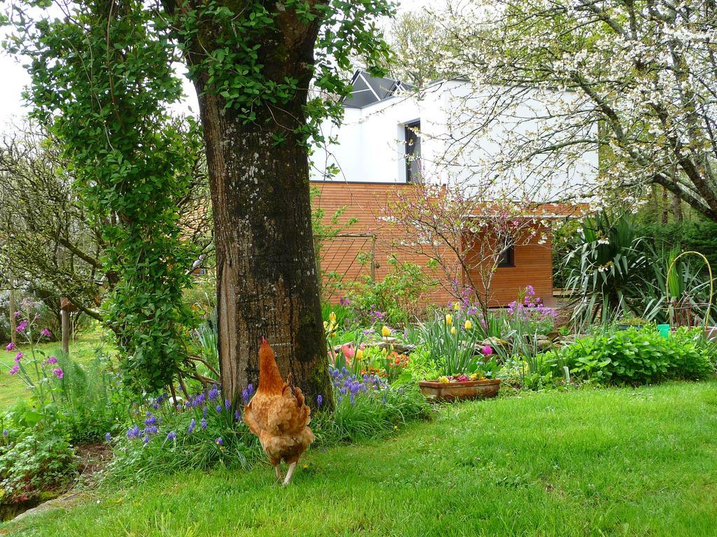 Le Jardin Aux Oiseaux Bed and Breakfast Férel Værelse billede