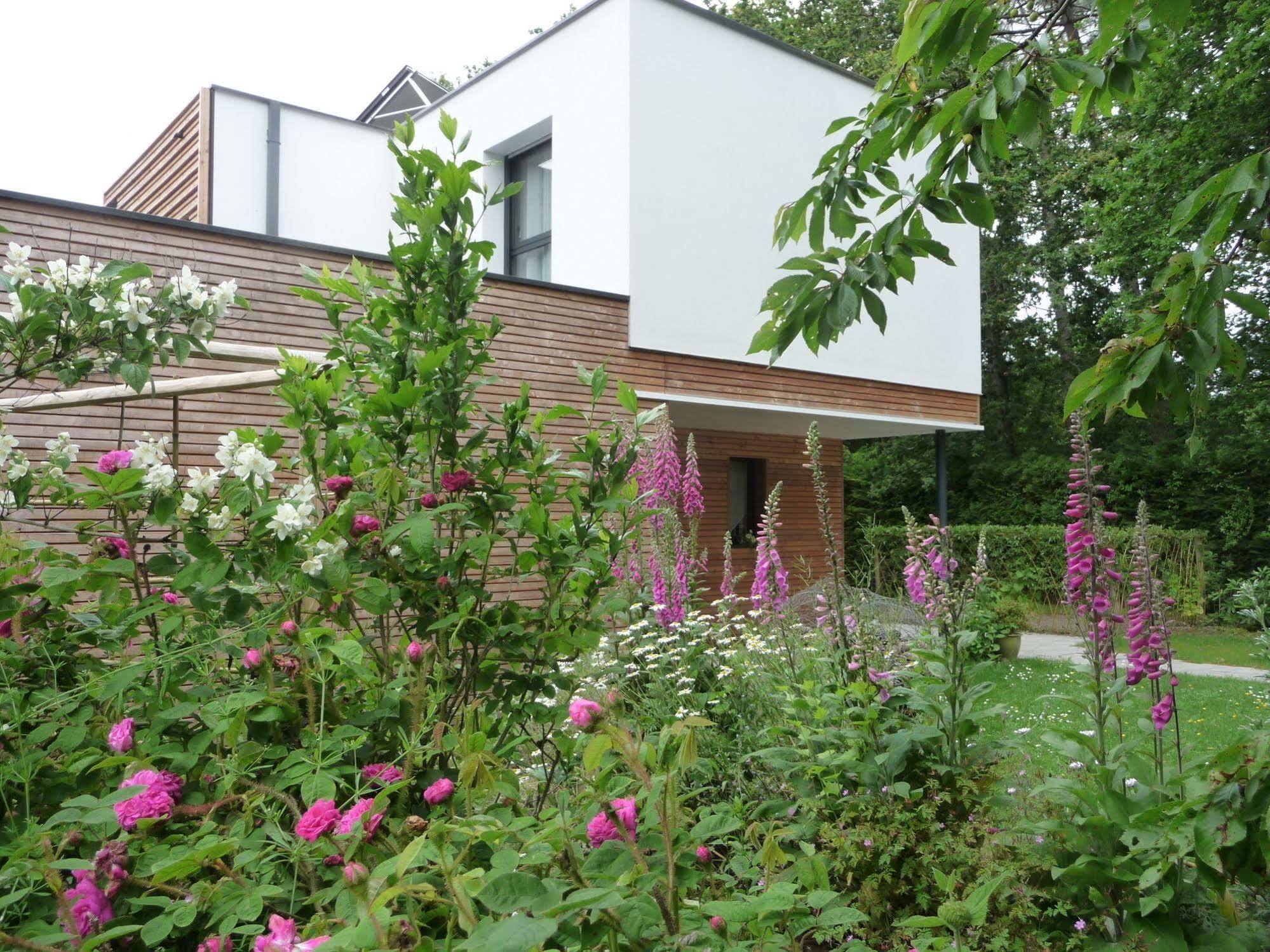 Le Jardin Aux Oiseaux Bed and Breakfast Férel Eksteriør billede