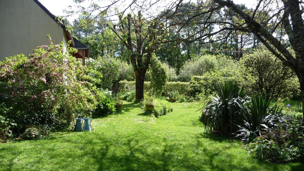 Le Jardin Aux Oiseaux Bed and Breakfast Férel Eksteriør billede